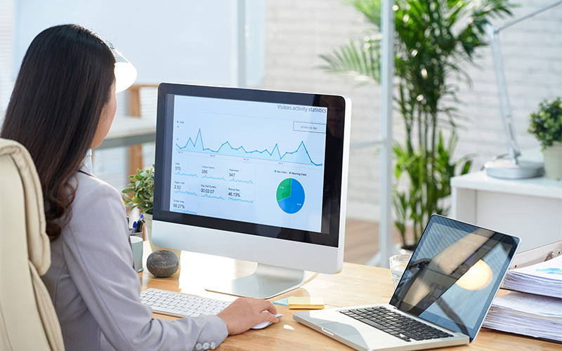 Business analyst evaluating internal controls data on a monitor.
